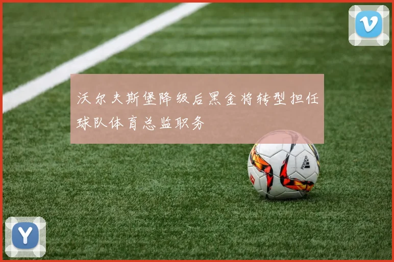 沃尔夫斯堡降级后黑金将转型担任球队体育总监职务